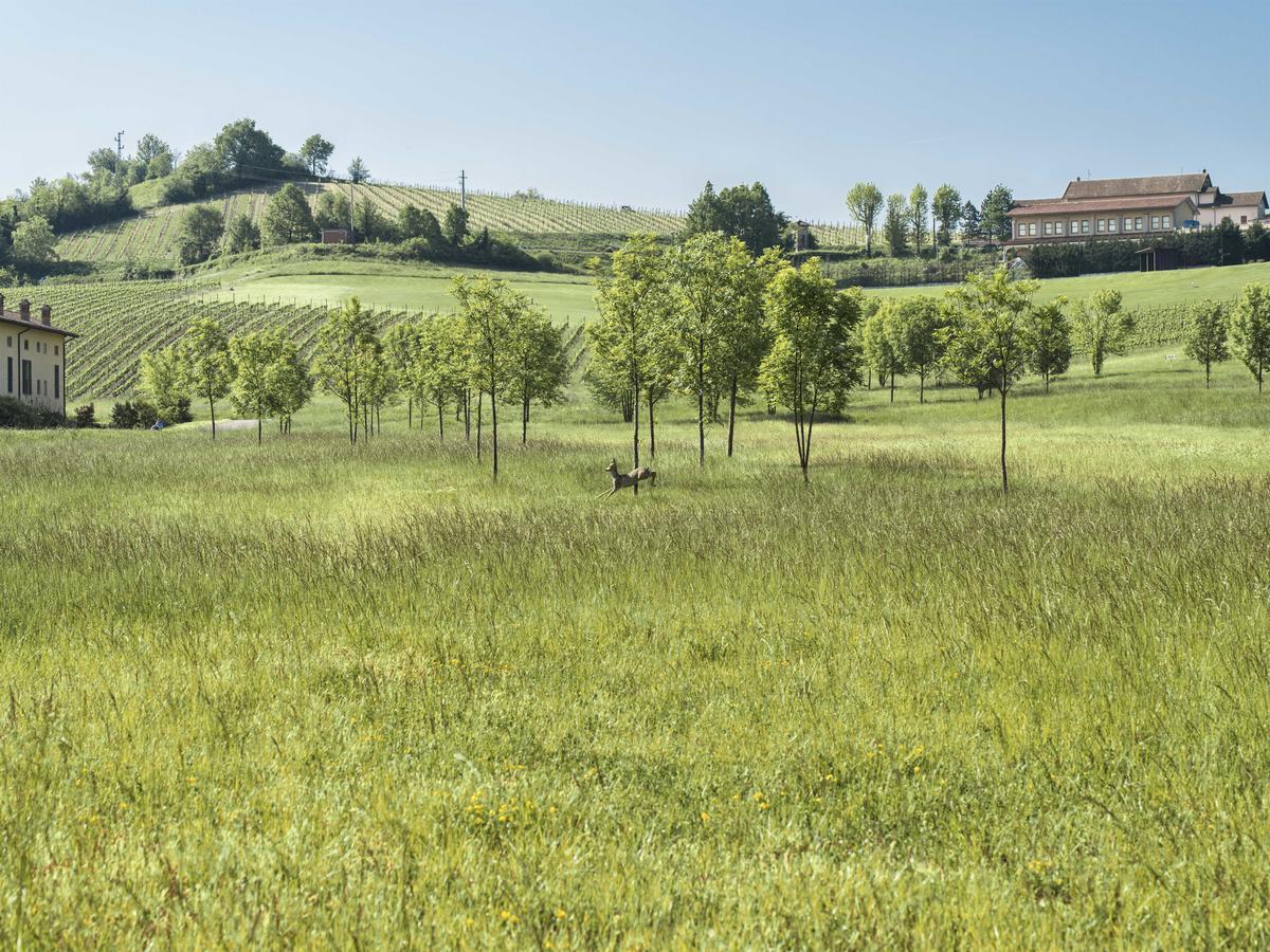 Serravalle Golf Hotel Serravalle Scrivia Εξωτερικό φωτογραφία